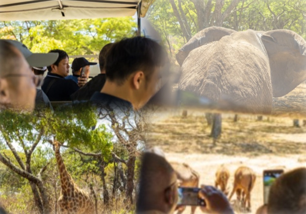 1760152420293078.jpg b1-1圖片 1 (3).jpg